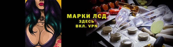 прущие грибы Белоозёрский