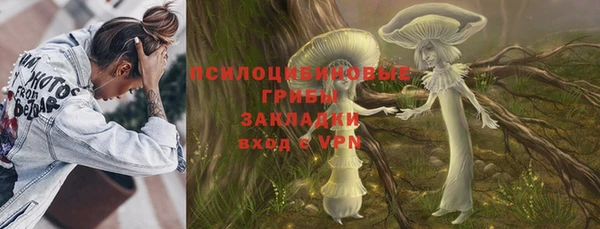 прущие грибы Белоозёрский