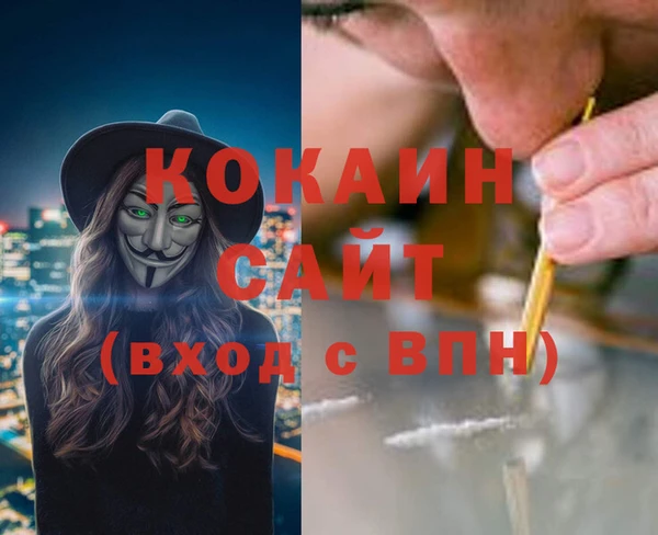 прущие грибы Белоозёрский