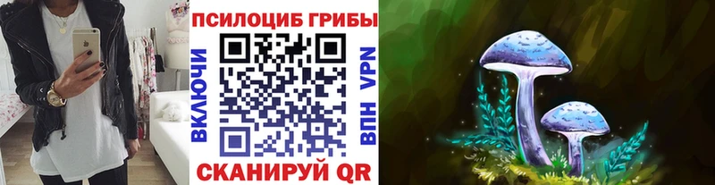 Купить  Керчь  Псилоцибиновые грибы мухоморы 